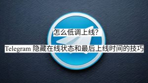 怎么低调上线？Telegram 隐藏在线状态和最后上线时间的技巧